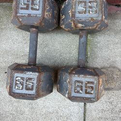 65 Lbs Dumbbell Weights 