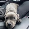Bruce Da Ruler