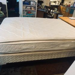 ⭐️⭐️⭐️⭐️-$380 cama queen-1 white queen mattresses/box springs (box springs choice of blue or brown as white one sold) ($380 for each of bed  (mattress