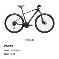 Giant Roam Disc 2,  Size L, Color Red