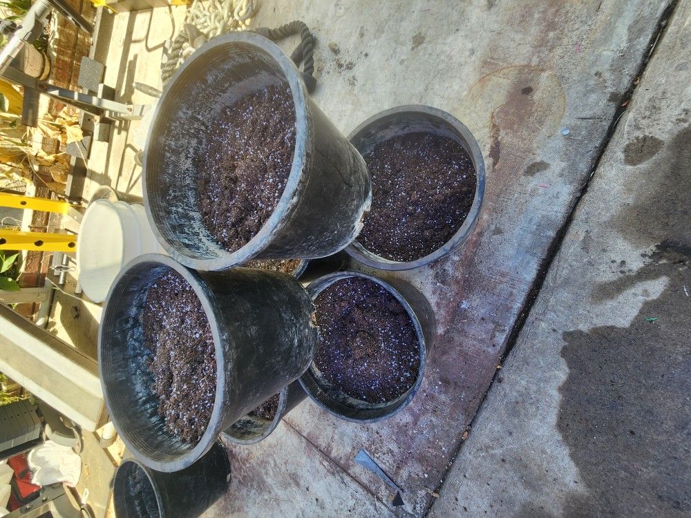 Pots With Potting Soil