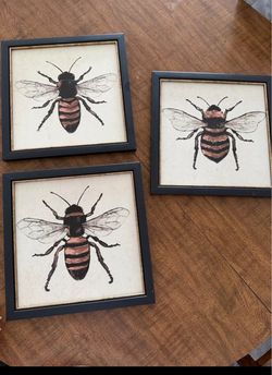 Set of 3 Framed Bee Wall Art Prints