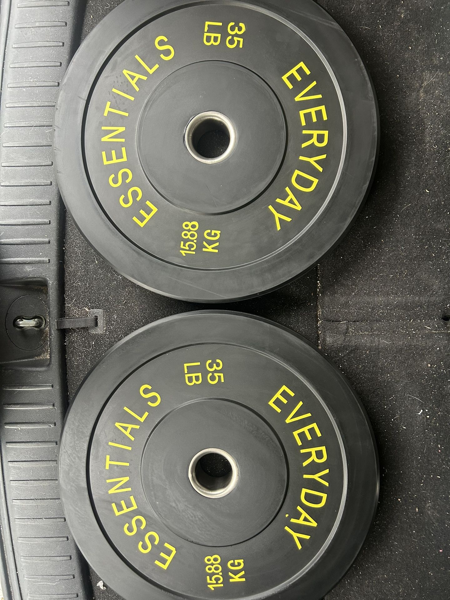 Two 35 Pound Olympic Weights