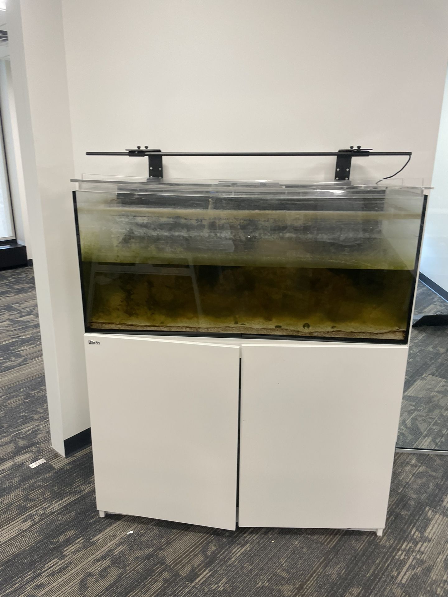 Fish Tank