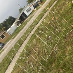 7 Garden Edging Border Flower Trellis Climbing Plants