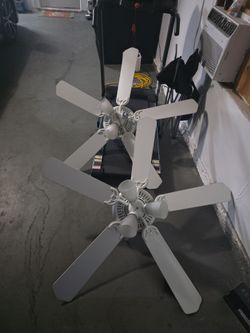Indoor fan/light