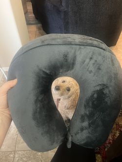 Brand New Airplane Pillow 