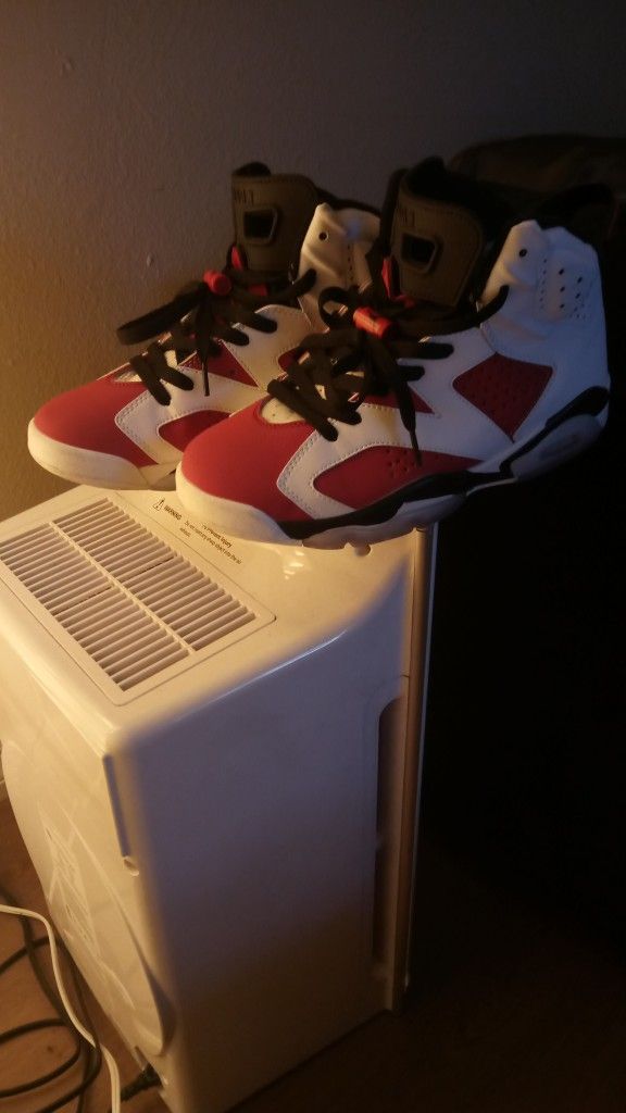 Jordan 6 Size 8.5 Men
