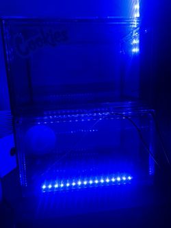 2 LED Shoe Boxes