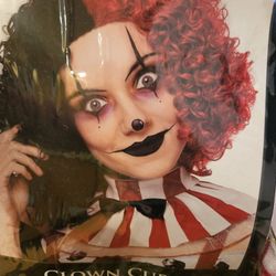 Halloween Wig $15
