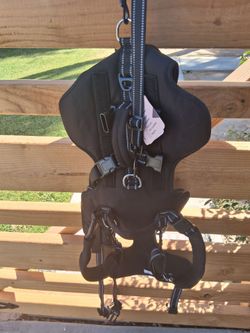 Dog harness