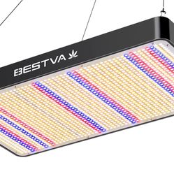 300w Grow Light 