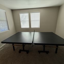 Ping Pong Table 