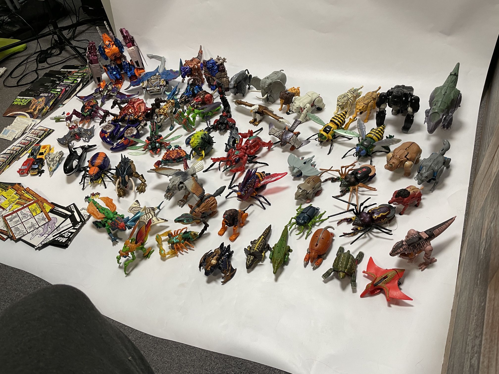 Beast Wars Collection