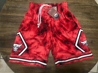 NBA Swingman Reflective Chicago Bulls Shorts Mitchell & Ness