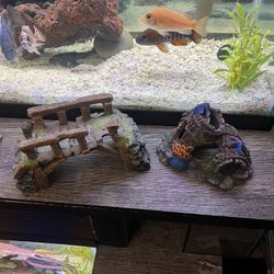 Aquarium Decoration 