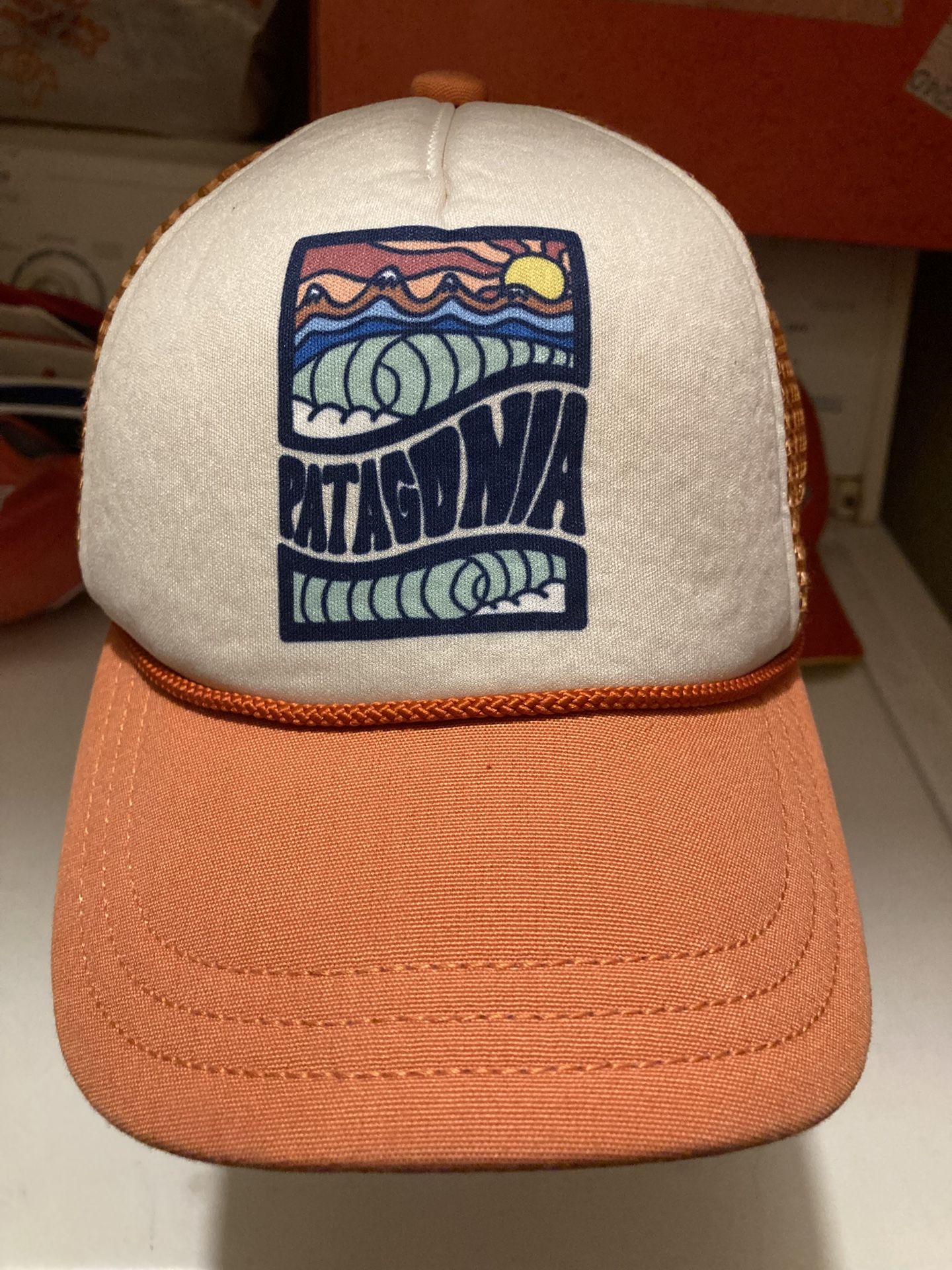 Patagonia Cap ( Unisex )