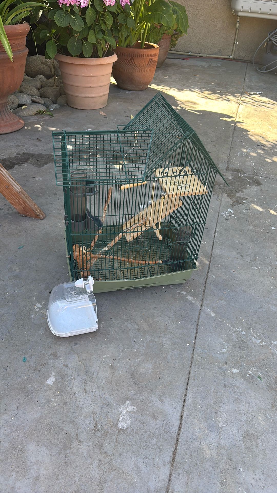 Bird Cage
