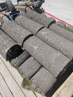 27 Rolls Elite Plus Fescue Sod