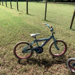 Girls Bicycle 