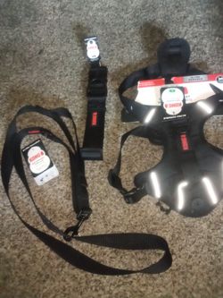 Kong Dog Harness Collar And Leash 