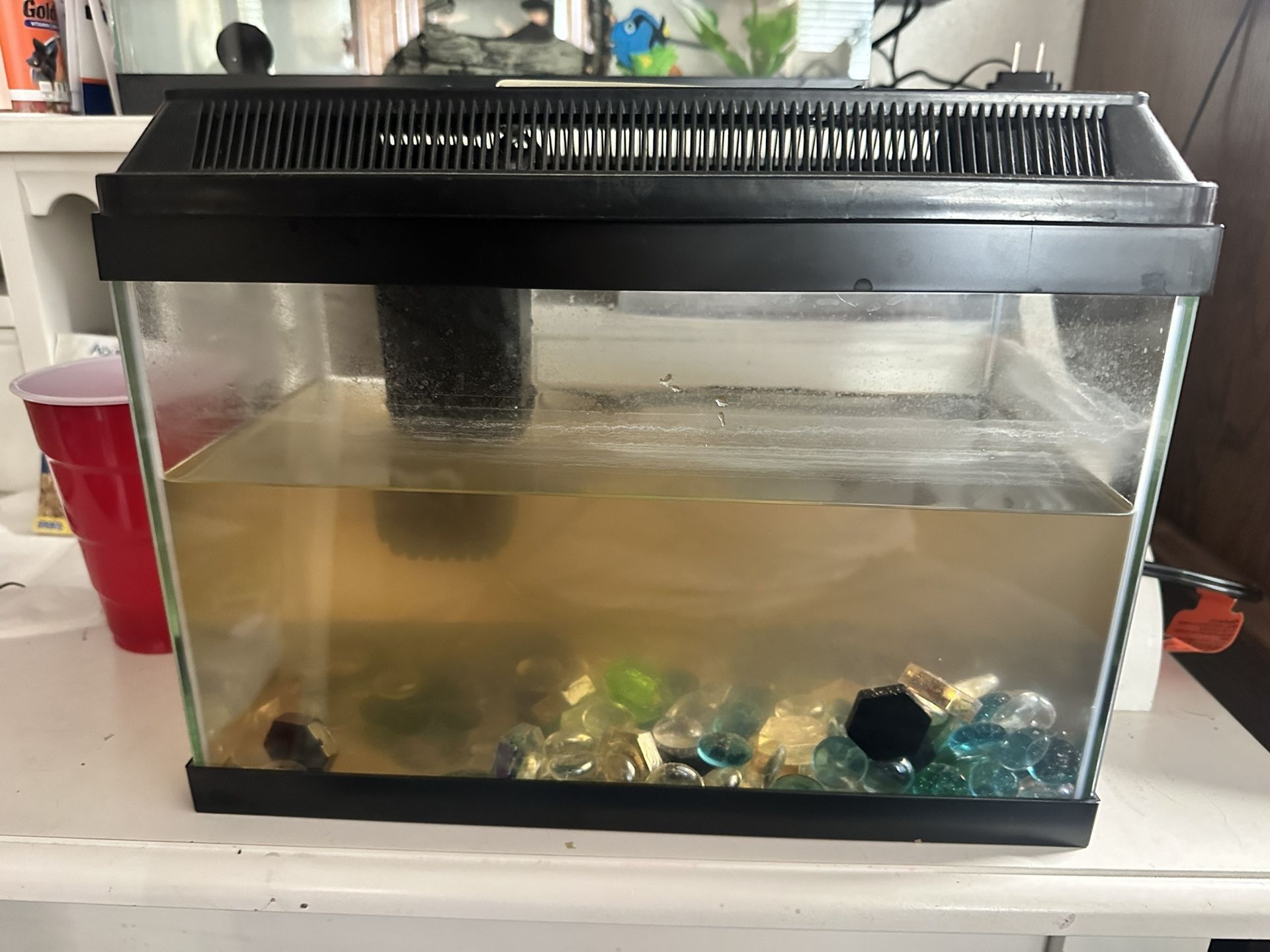 Fish Tank With Filter No Rocks Just Tank & Filter