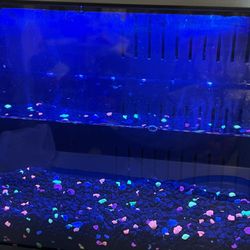 Top Fin Colorflow Aquarium Starter Kit - 3 Gallon - 7 Color LED