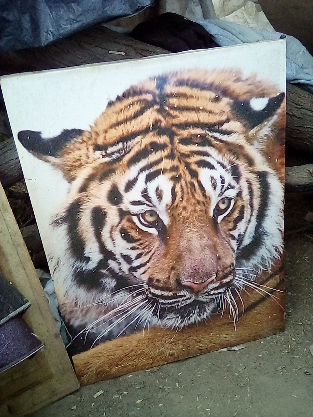 Tiger painting