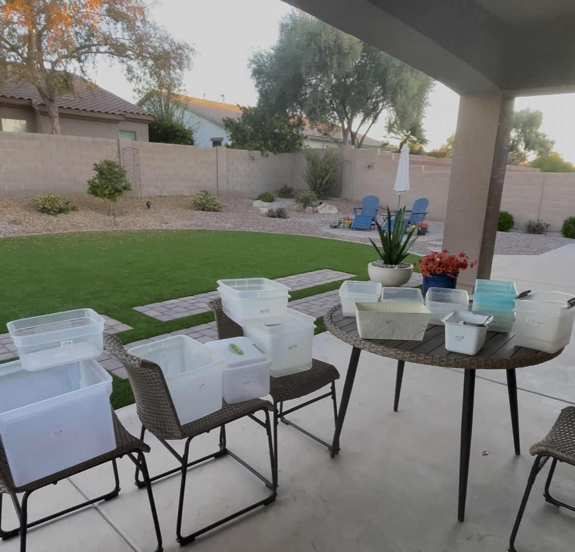 Lidless Plastic Storage Containers (CHEAP!)