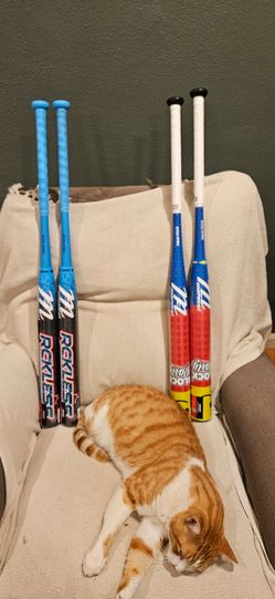 Usssa softball bats