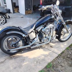 2022 Harley davidson Custom low rider