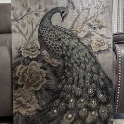 large picture of a peacock 🦚 