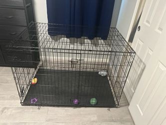 large dog kennel