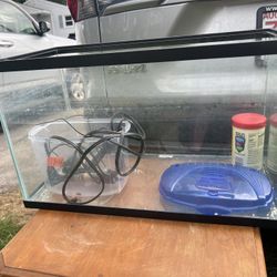 Fish Tank + Supplies