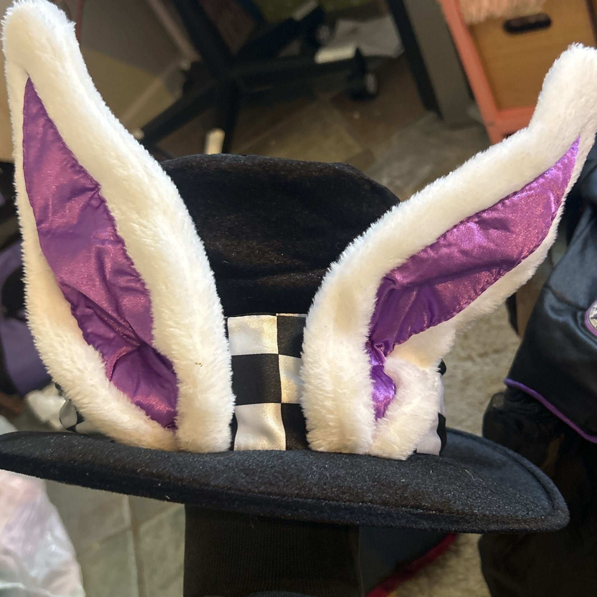 Halloween Costume Mad Hatter Girl