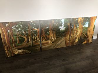 3 piece artwork / wall art / forest