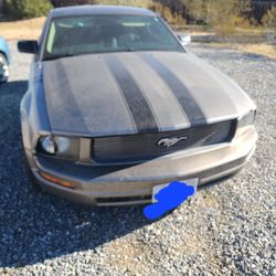 2005 Ford Mustang