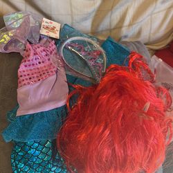 Ariel Costume