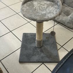 Cat Bed