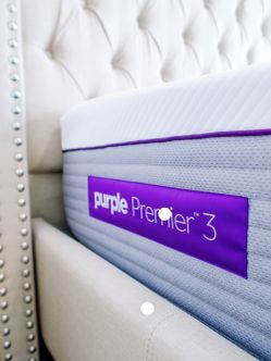 PURPLE PREMIER #3 QUEEN SOZE
