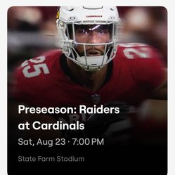 Cardinals vs Raiders (((Lower Lvl)))