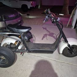 Electric Trike Scooter 