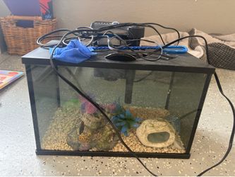 Fish Tank
