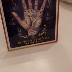 Five Dollar Palm Rwading 