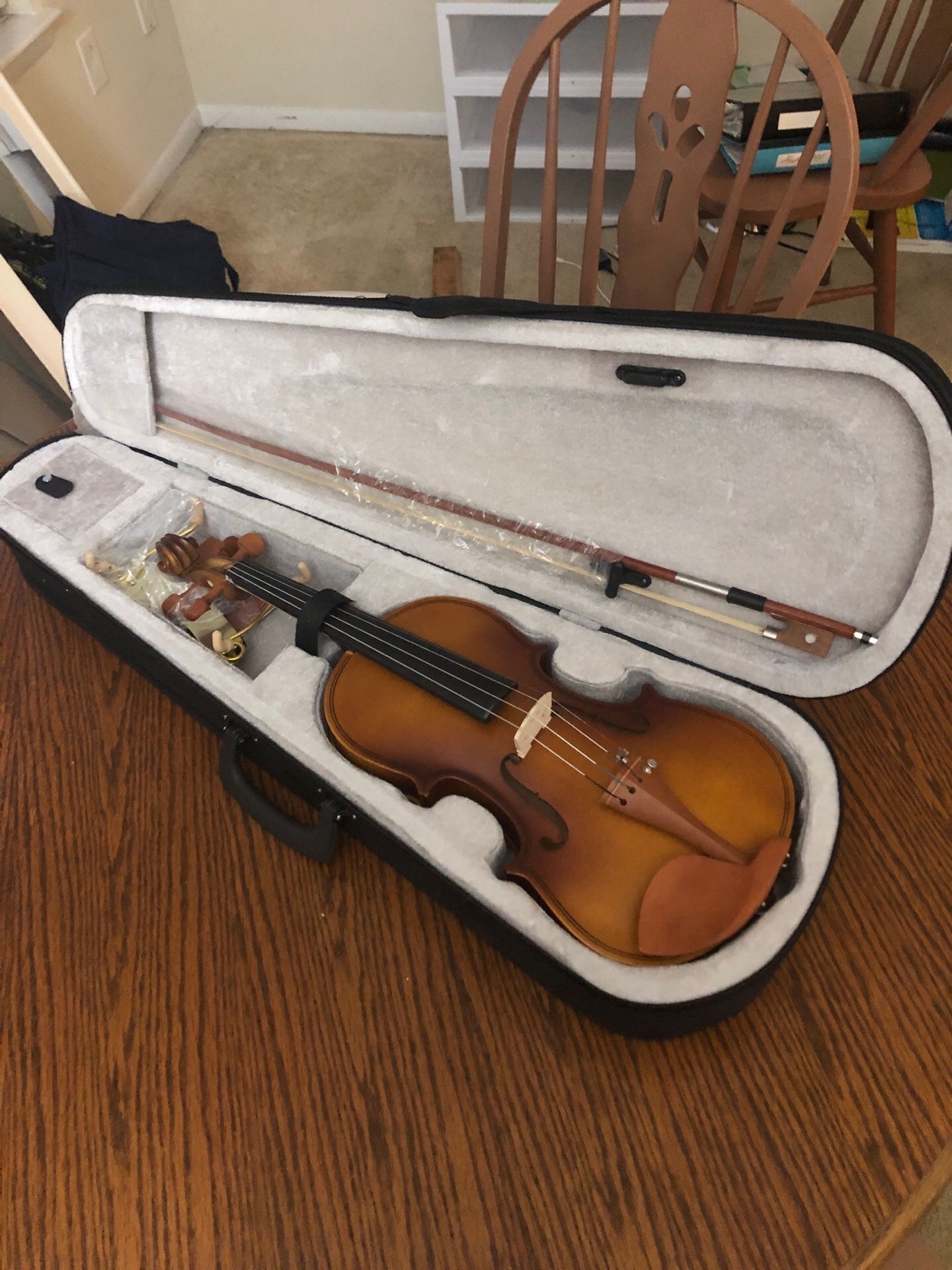 Beginners violin