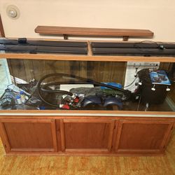 120 Gallon Aquarium With Base And Accessories