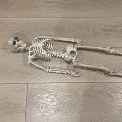 Skeleton