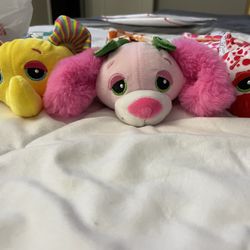 Stuffed Animals 