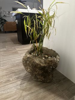 Boulder Planters FOR SALE