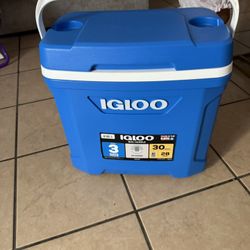 Igloo Cooler